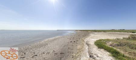 Camargue