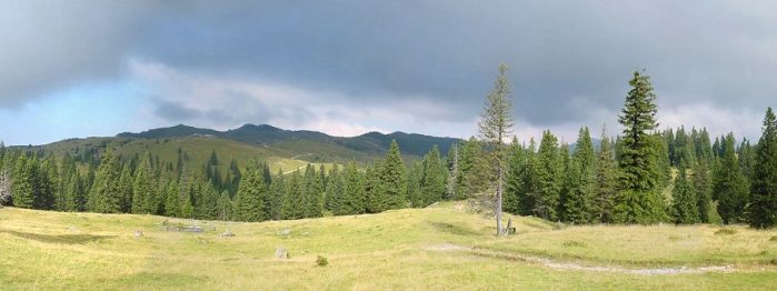 Velika planina