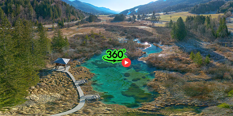 Zelenci pticja perspektiva